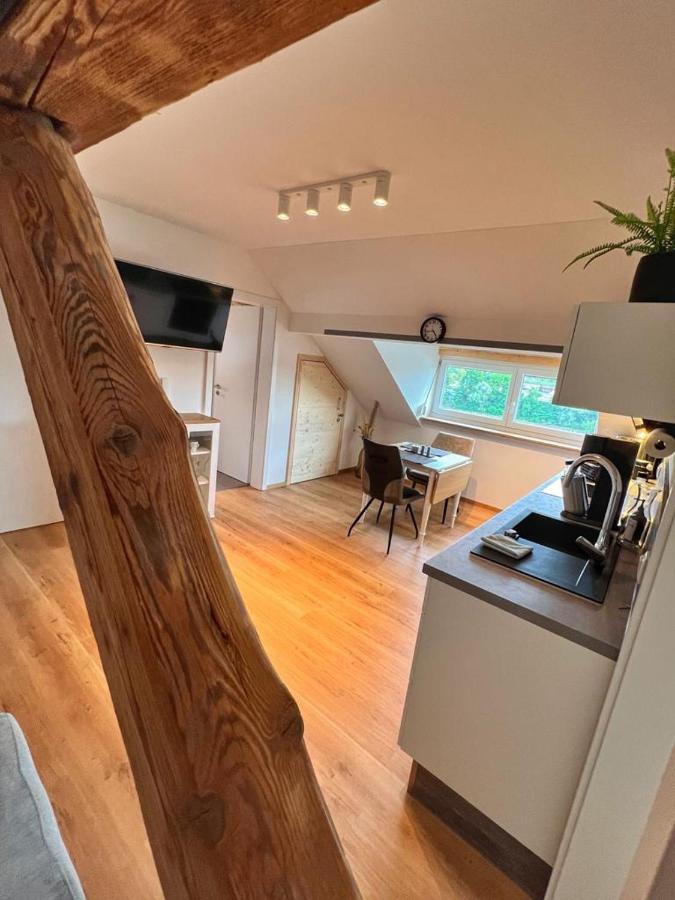 Helle 2 Zimmer Dg Wohnung Pasawa Zewnętrze zdjęcie